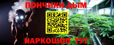 молекула духа Будённовск